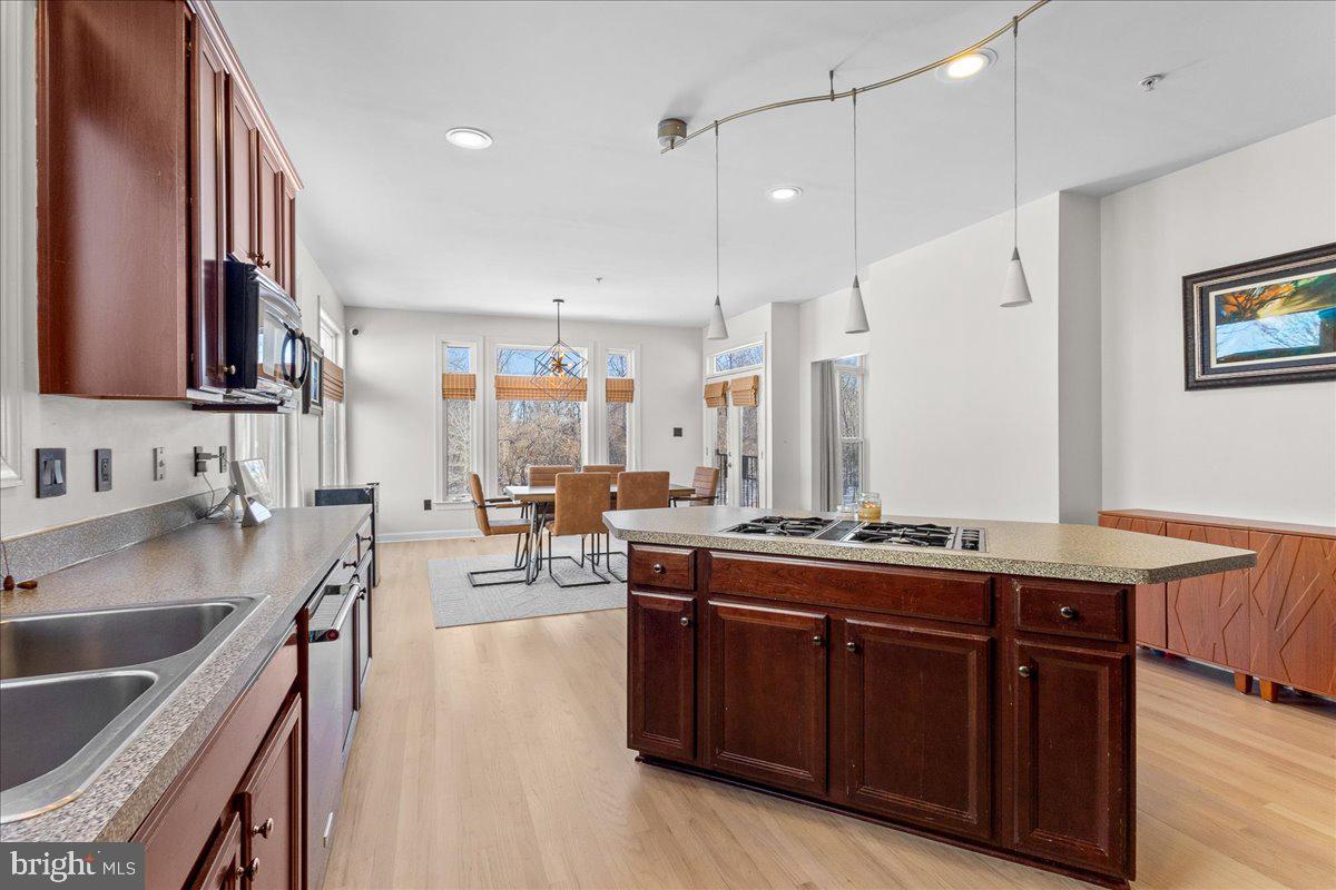 2206 Green Ginger Circle Accokeek, MD 20607 - Photo 10 of 45 Storage in Island