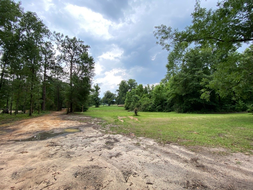 2242 Coot Adams Road Ashford, AL 36312 - Photo 31 of 39