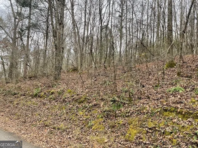 a view of a yard with large trees