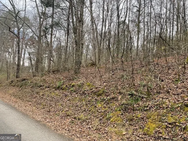 $26,000 | 0 Wooten Lane, Chickamauga, GA 30707