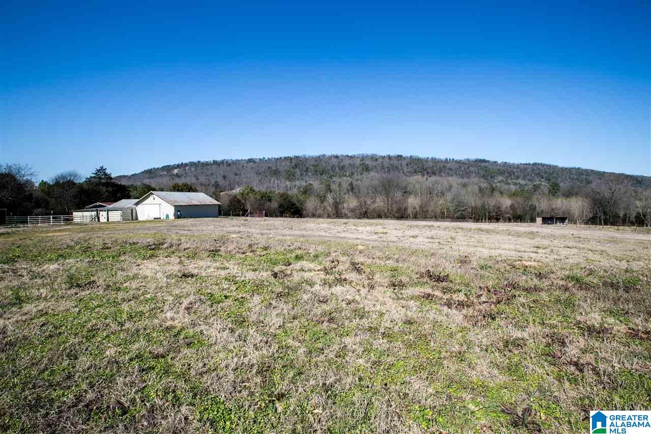 435 County Road 42 Oneonta, AL 35121 - Photo 8 of 40