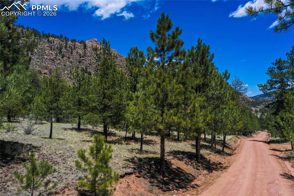 437 Langnis Road Guffey, CO 80820 - Photo 32 of 33 Whether by car, foot or ATV, this is the place to come.
