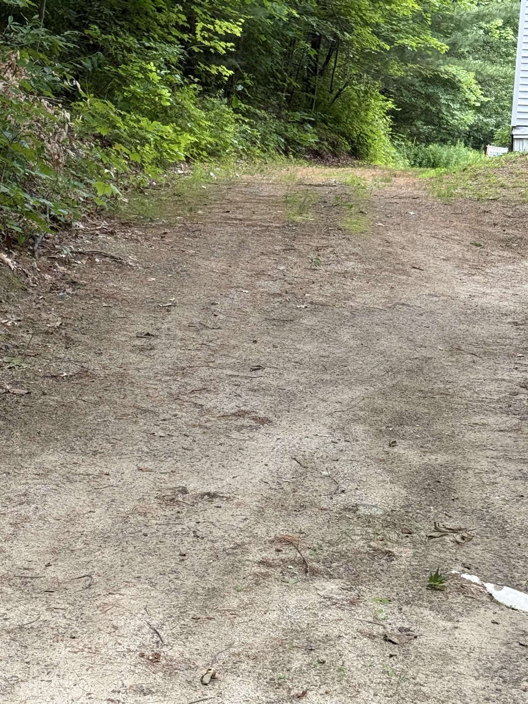 90 Stone Hill Road Rumney, NH 03266 - Photo 5 of 11