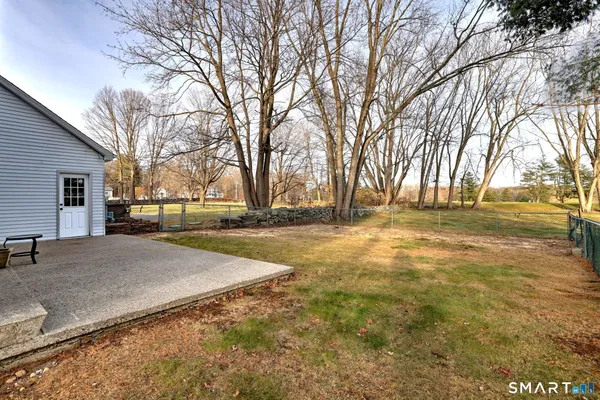 a view of yard with trees