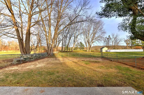 a view of dirt yard with a large trees