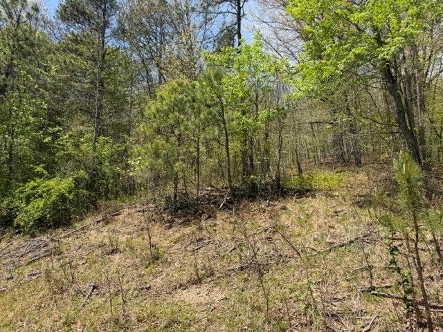 3361 Daw Road Cedar Bluff, VA 24609 - Photo 20 of 29 Gallery Image 20