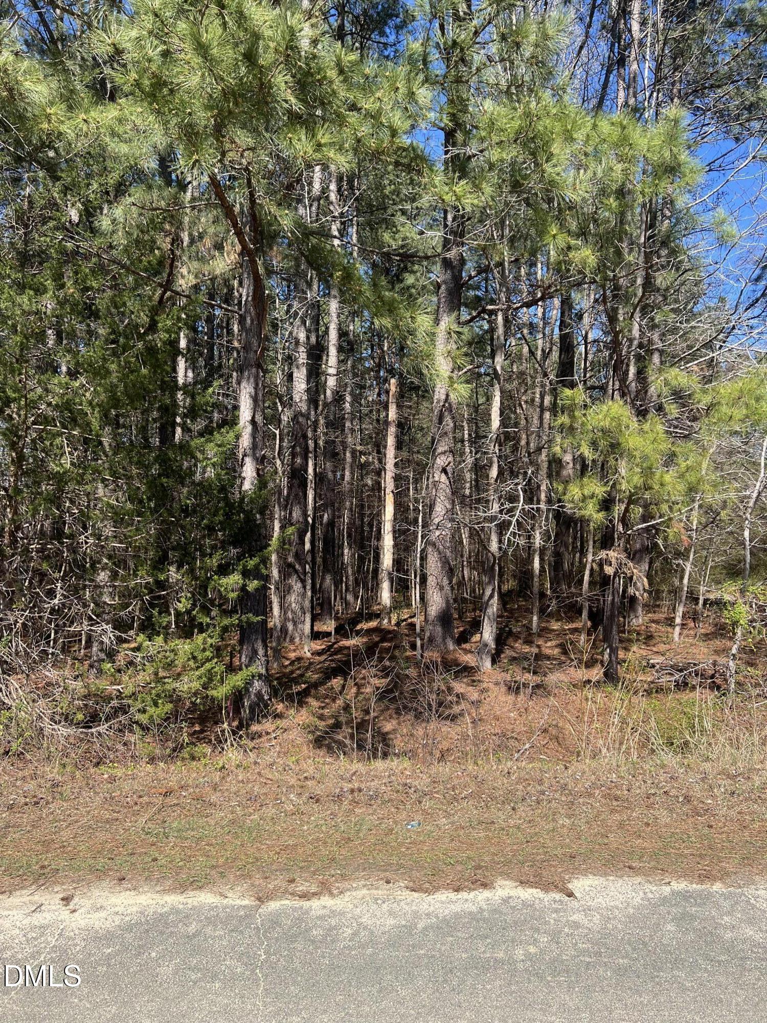 299 Hodges Road Franklinton, NC 27525 - Photo 2 of 10 a view of outdoor space and yard