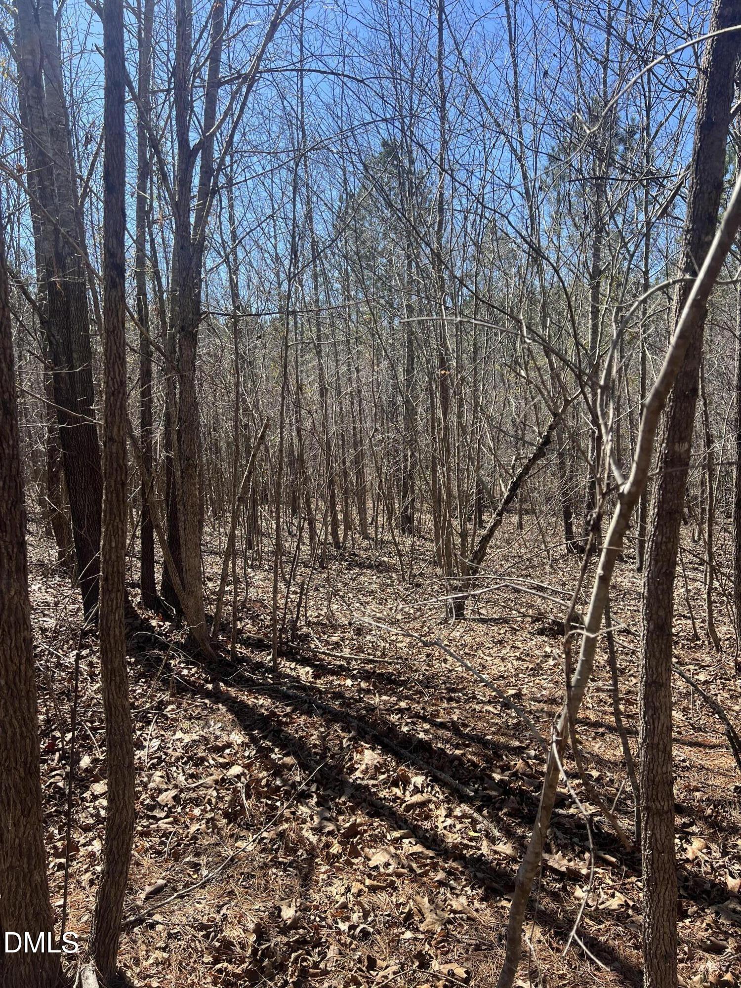 299 Hodges Road Franklinton, NC 27525 - Photo 3 of 10 a view of a yard with large trees
