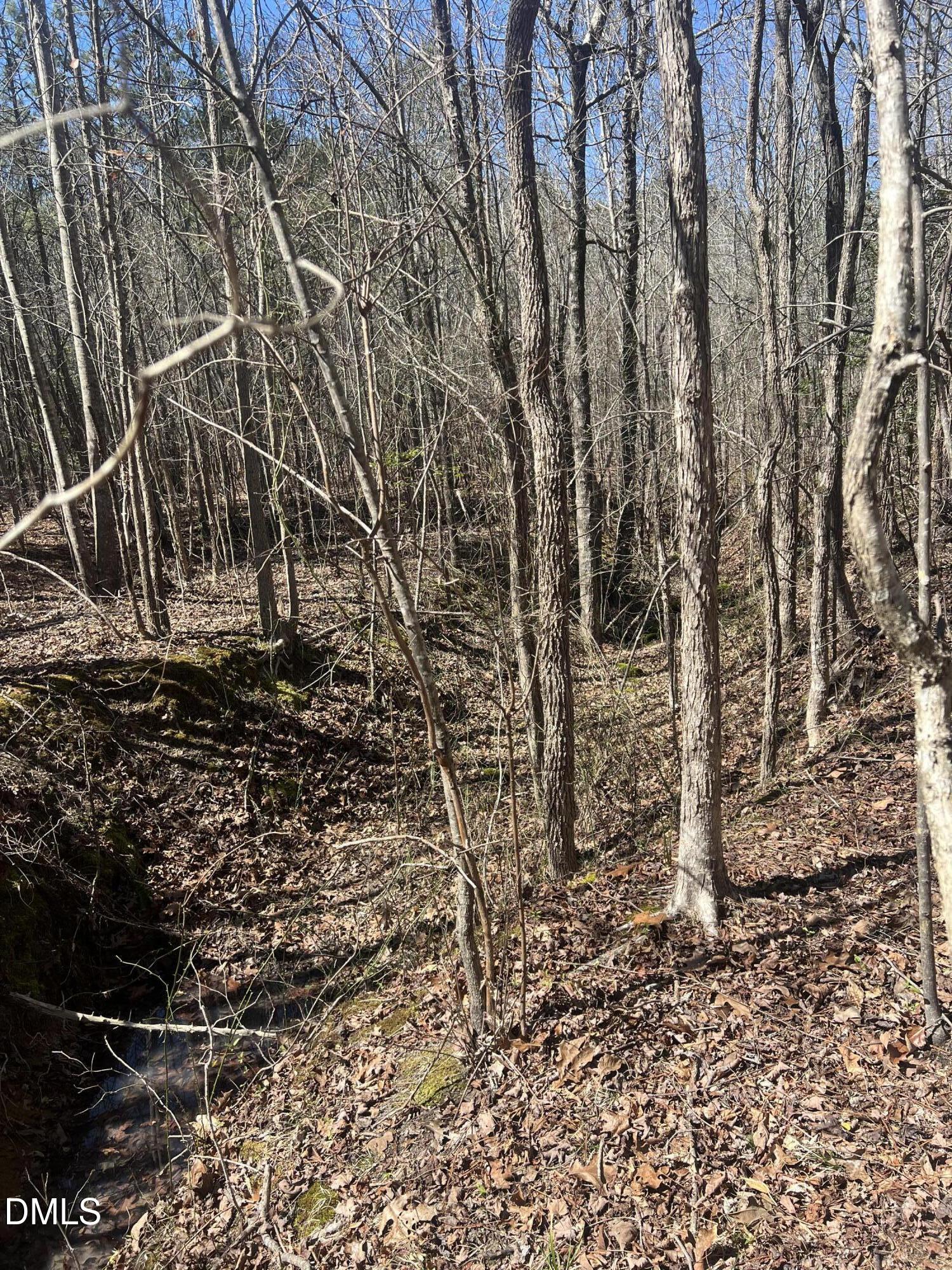 299 Hodges Road Franklinton, NC 27525 - Photo 4 of 10 a view of a yard with plants and wooden fence