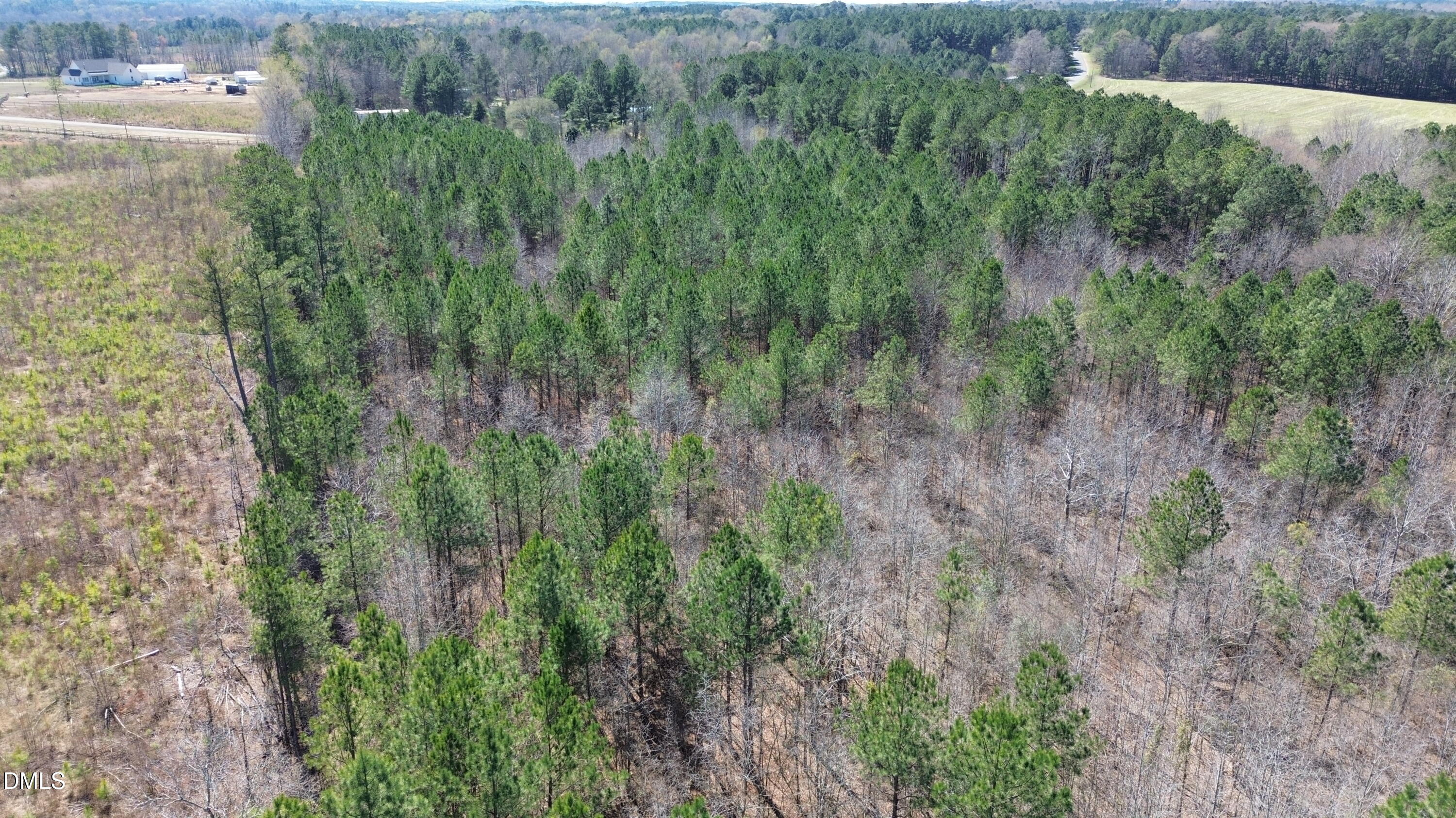 299 Hodges Road Franklinton, NC 27525 - Photo 8 of 10 a view of a yard in a forest