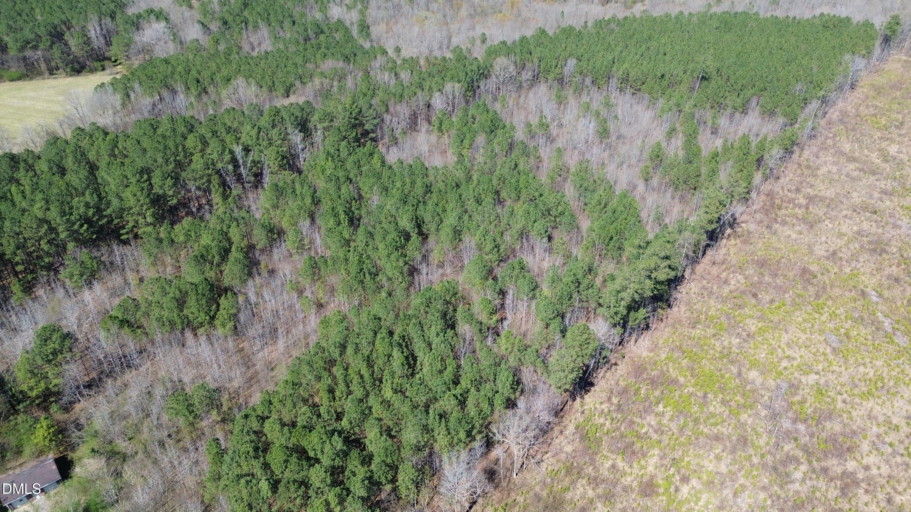 299 Hodges Road Franklinton, NC 27525 - Photo 9 of 10 a view of a garden with a lake