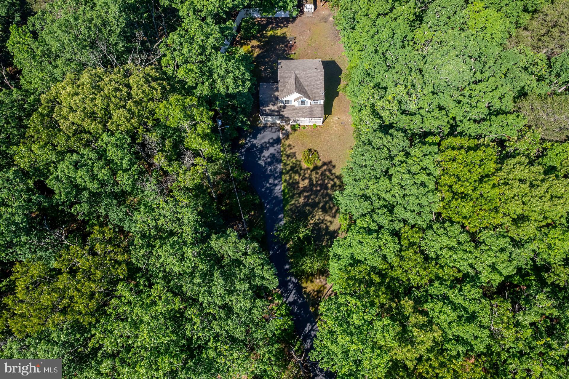 164 Clarks Pond Road Bridgeton, NJ 08302 - Photo 12 of 27 Secluded home embraced by nature.