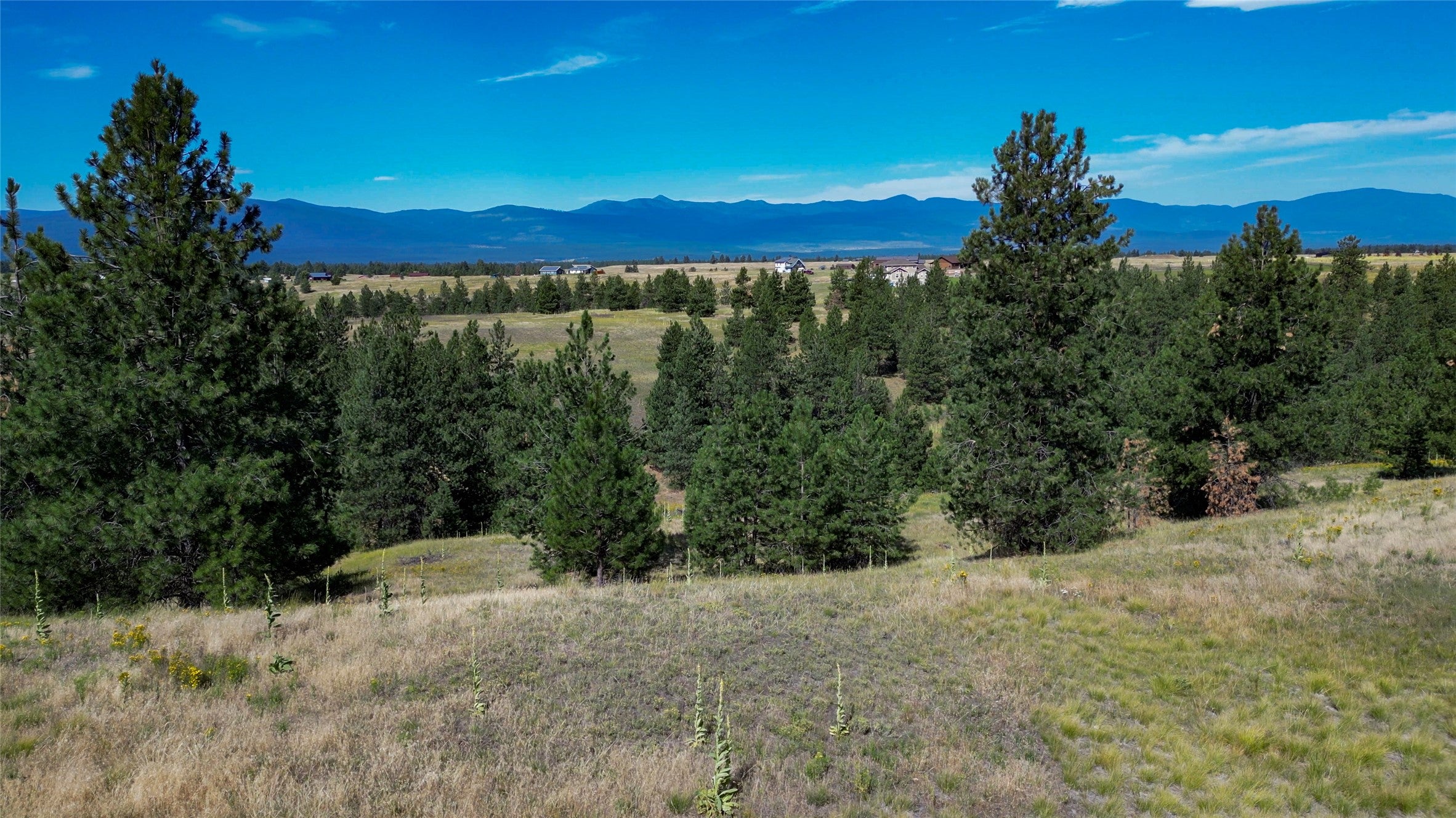 Nhn Prairie Road Eureka, MT 59917 - Photo 7 of 24 Gallery Image 7