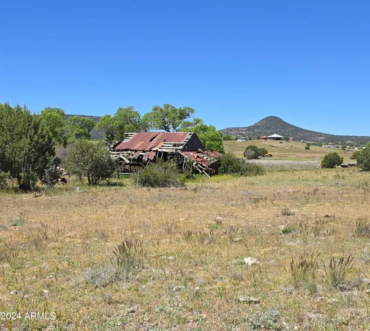 $386,000 | 46600 Highway 288, Young, AZ 85554