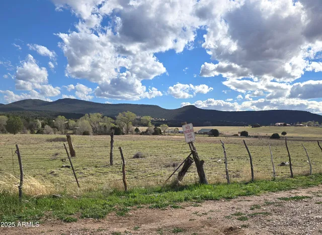 $386,000 | 46600 Highway 288, Young, AZ 85554