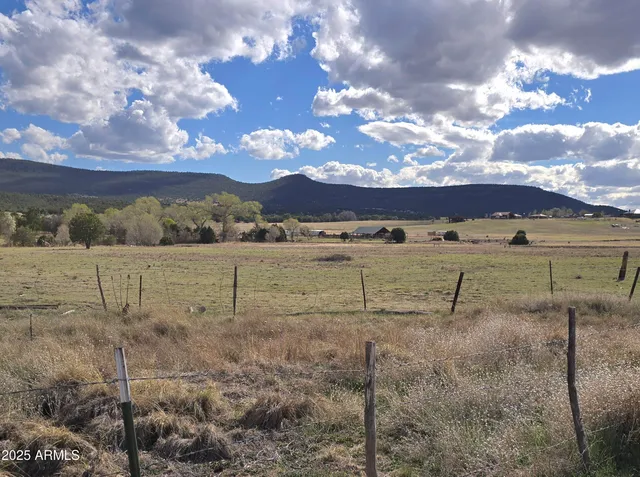 $386,000 | 46600 Highway 288, Young, AZ 85554