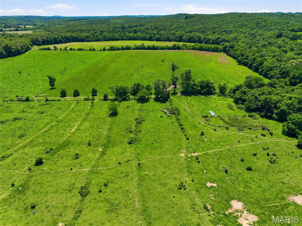 0 Pleasant Hill Road Mountain Grove, MO 65711 - Photo 28 of 51