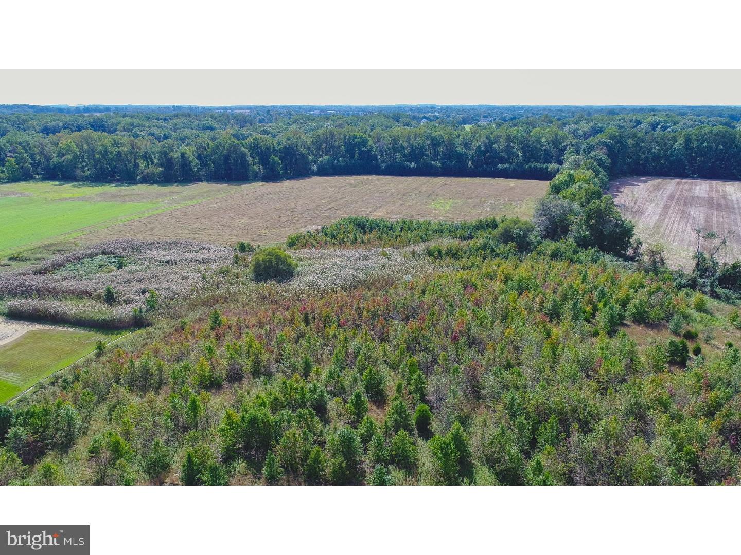 67-71 West Tomlin Station Road Mickleton, NJ 08056 - Photo 16 of 17