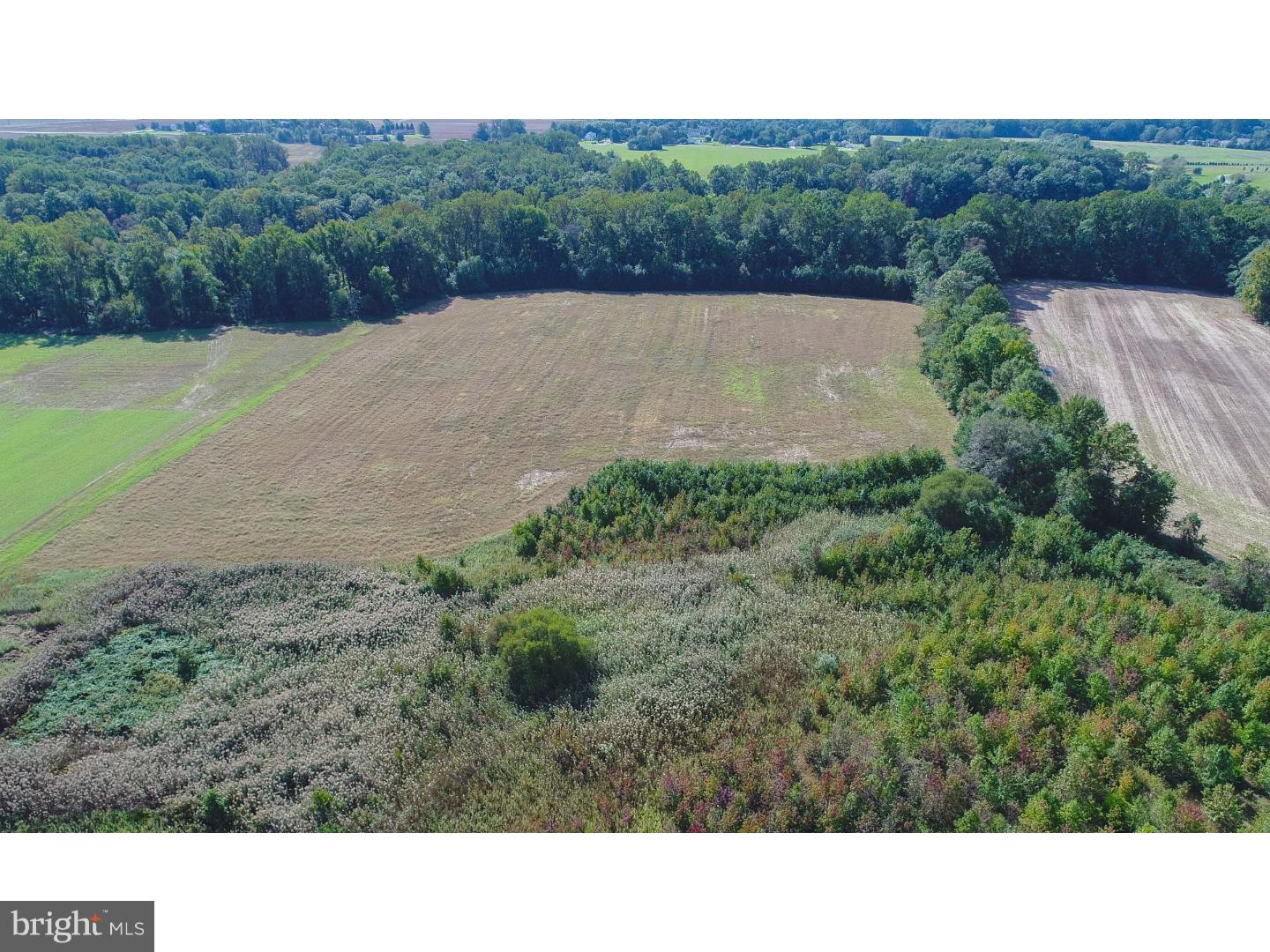 67-71 West Tomlin Station Road Mickleton, NJ 08056 - Photo 6 of 17