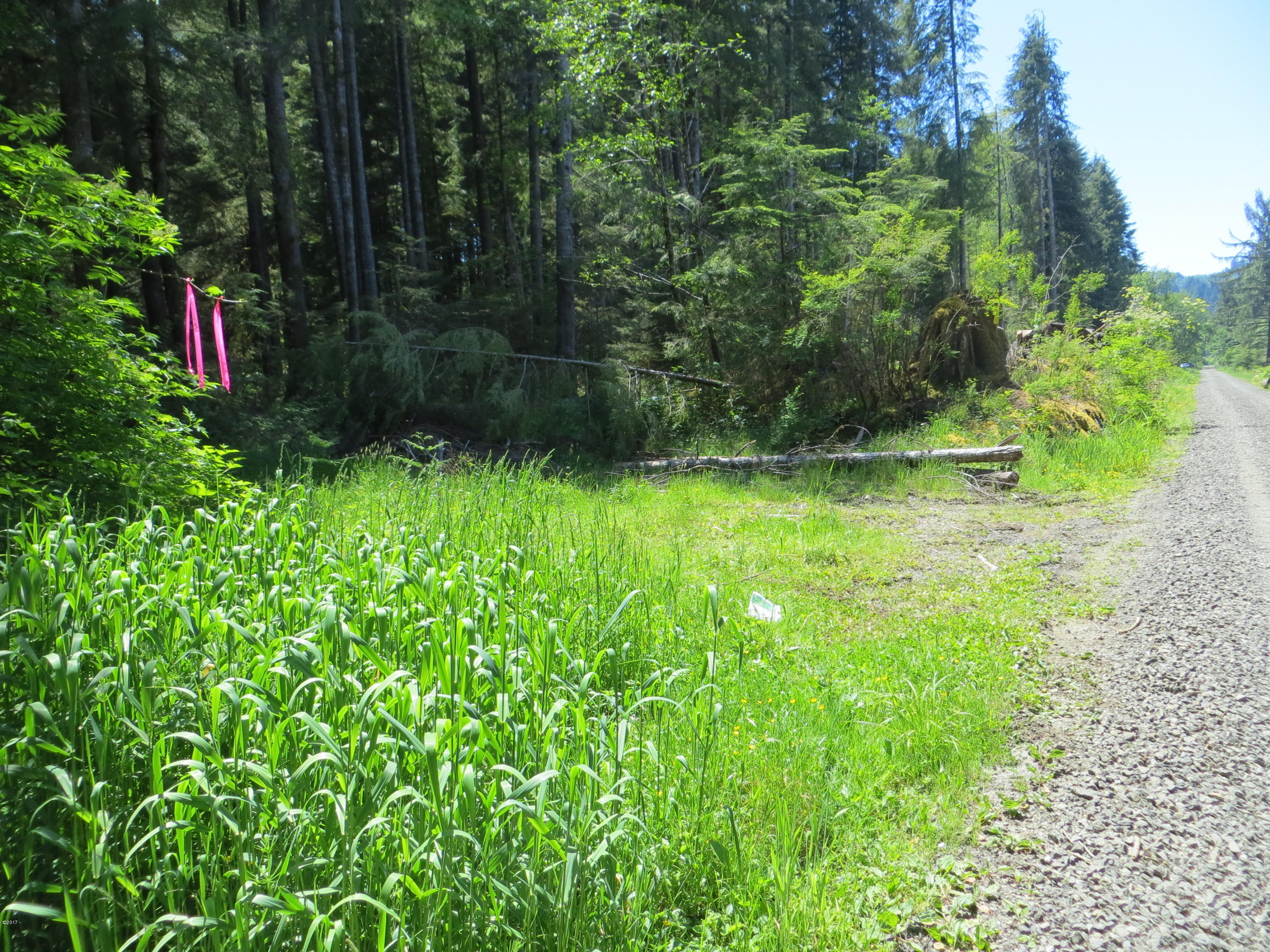 Lot 15 Hamer Road Siletz, OR 97380 - Photo 3 of 23 Hamer acreage