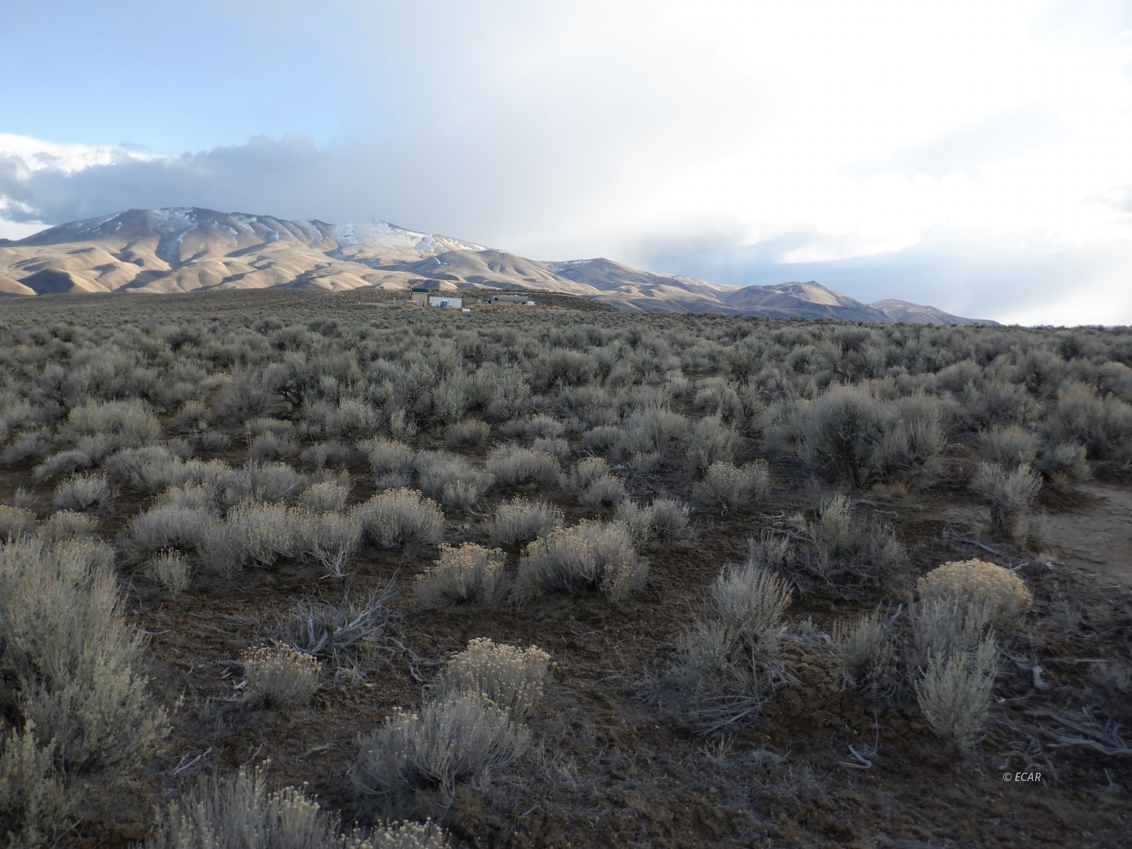 33-3 7th Street Elko, NV 89801 - Photo 14 of 15