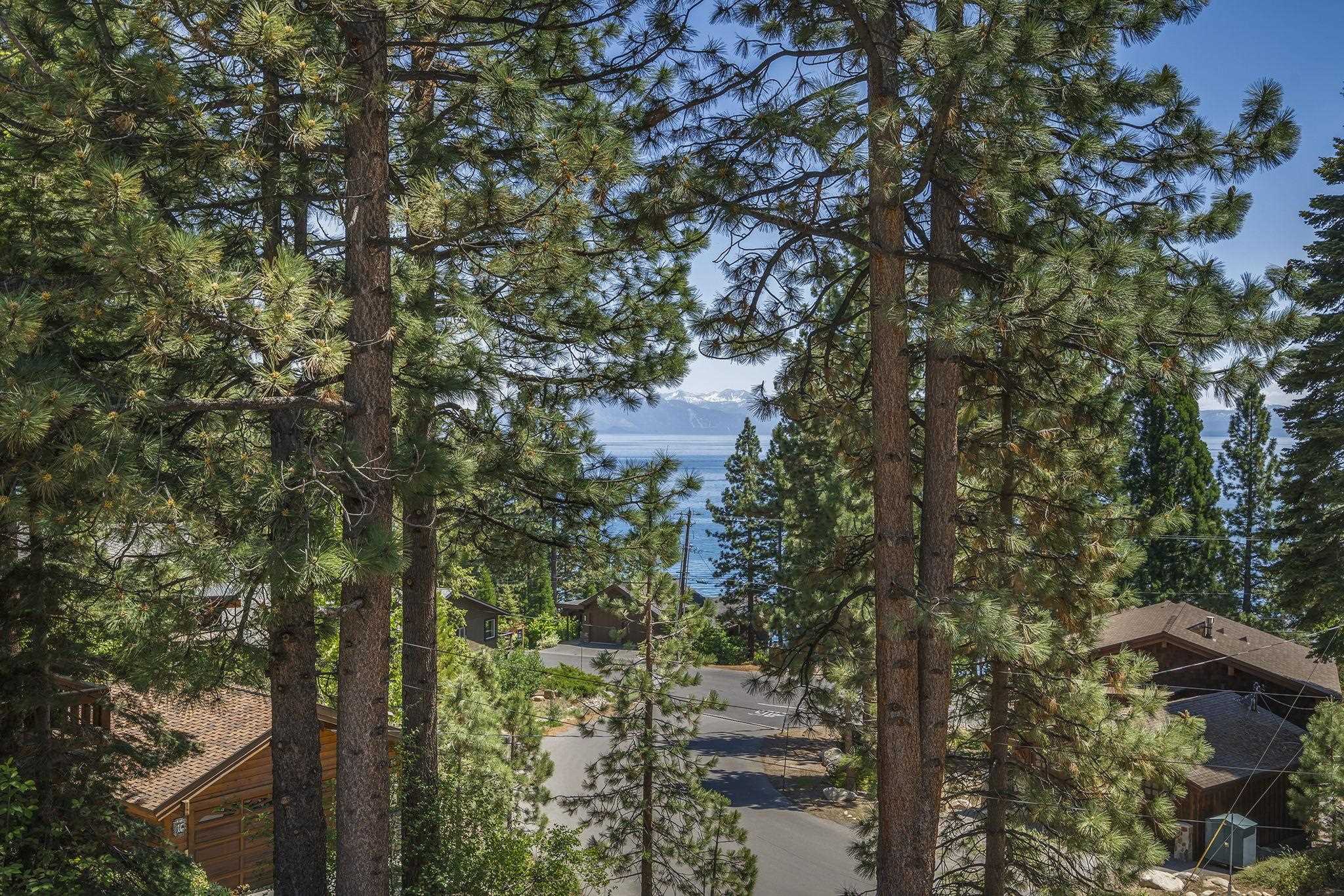 20 Observation Drive Tahoe City, CA 96145 - Photo 3 of 28 a picture of tree