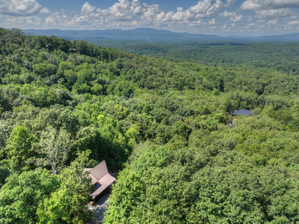 8 North Face Drive Blue Ridge, GA 30513 - Photo 16 of 67 Gallery Image 16