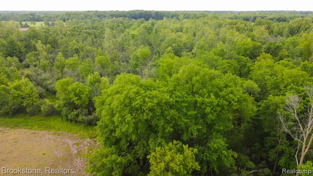 30 30 Mile Road New Haven, MI 48050 - Photo 10 of 17