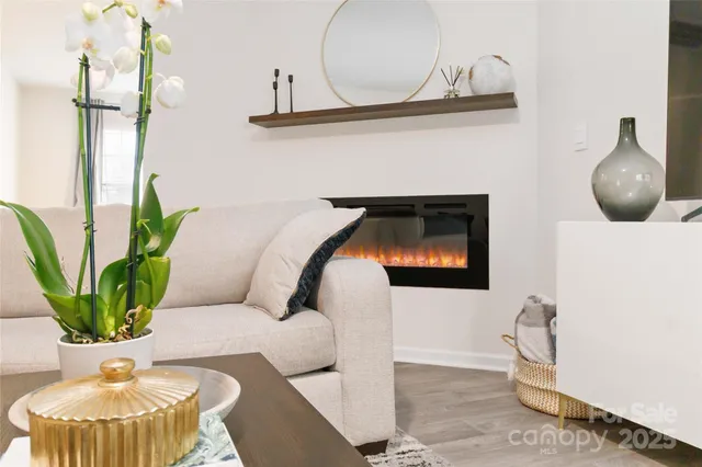 a living room with furniture and a potted plant