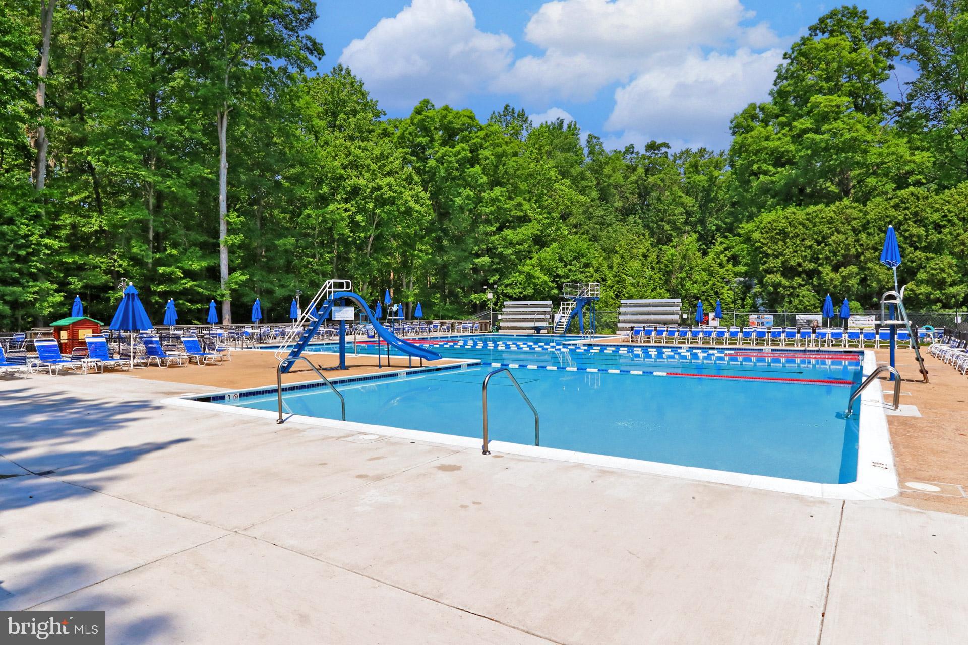 9110 Rockefeller Lane Springfield, VA 22153 - Photo 45 of 56 One of the community pools. Membership required