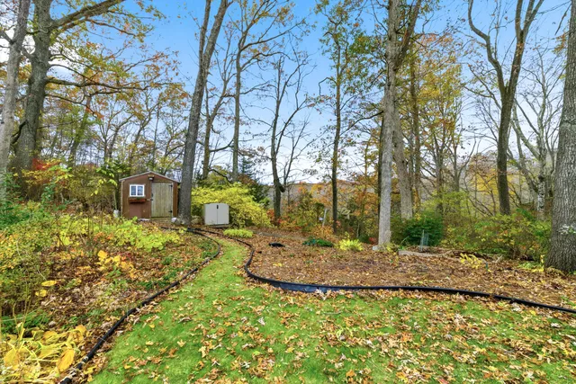a view of a garden with large trees