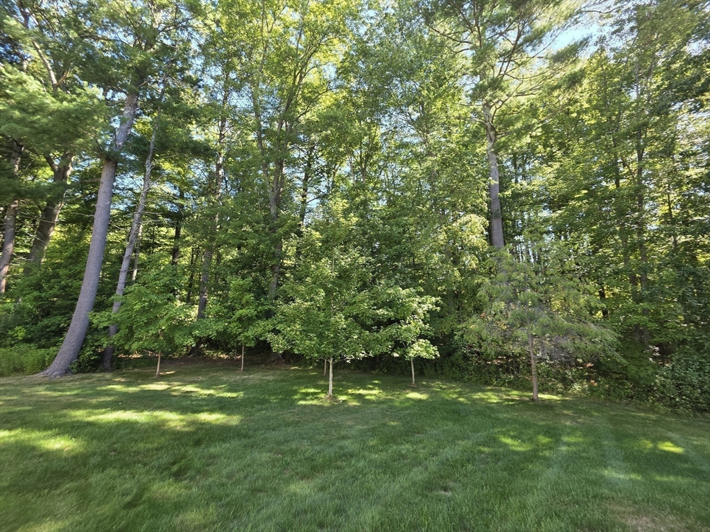 44 Stone Meadow Lane Hanover, MA 02339 - Photo 39 of 42