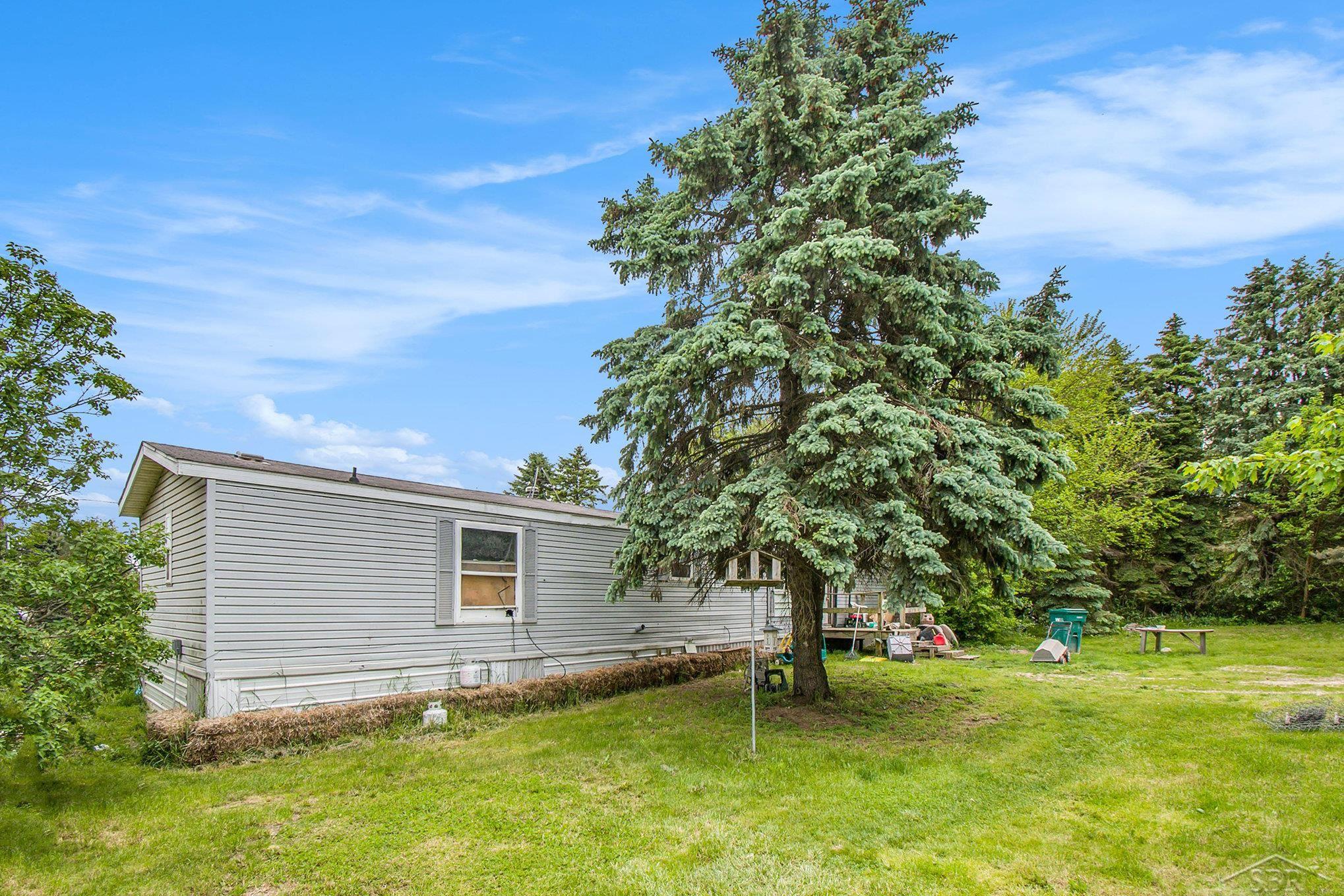8305 Goodwin Road Lyons, MI 48851 - Photo 10 of 15