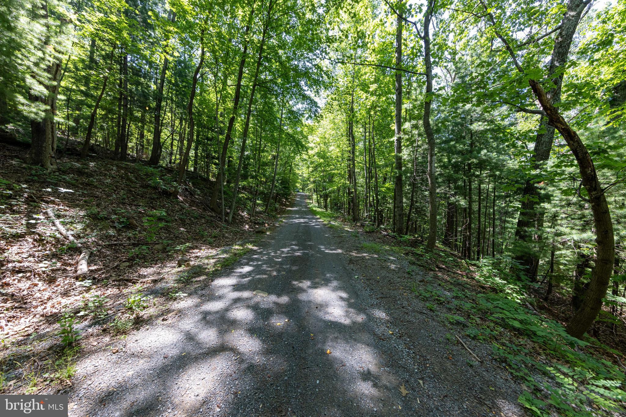 0 Helms Road Stanley, VA 22851 - Photo 31 of 50