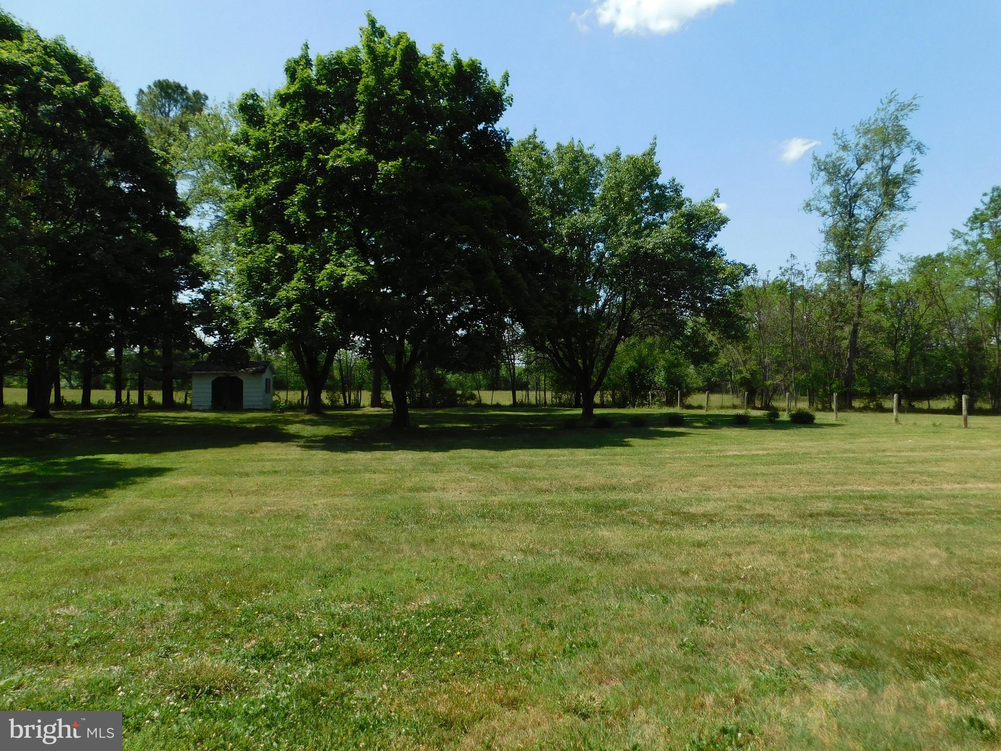1225 Kimble Road Berryville, VA 22611 - Photo 24 of 27 Backyard