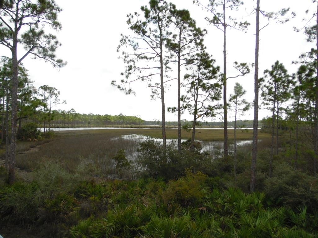 709 Mill Road Carrabelle, FL 32322 - Photo 2 of 33 Gallery Image 2
