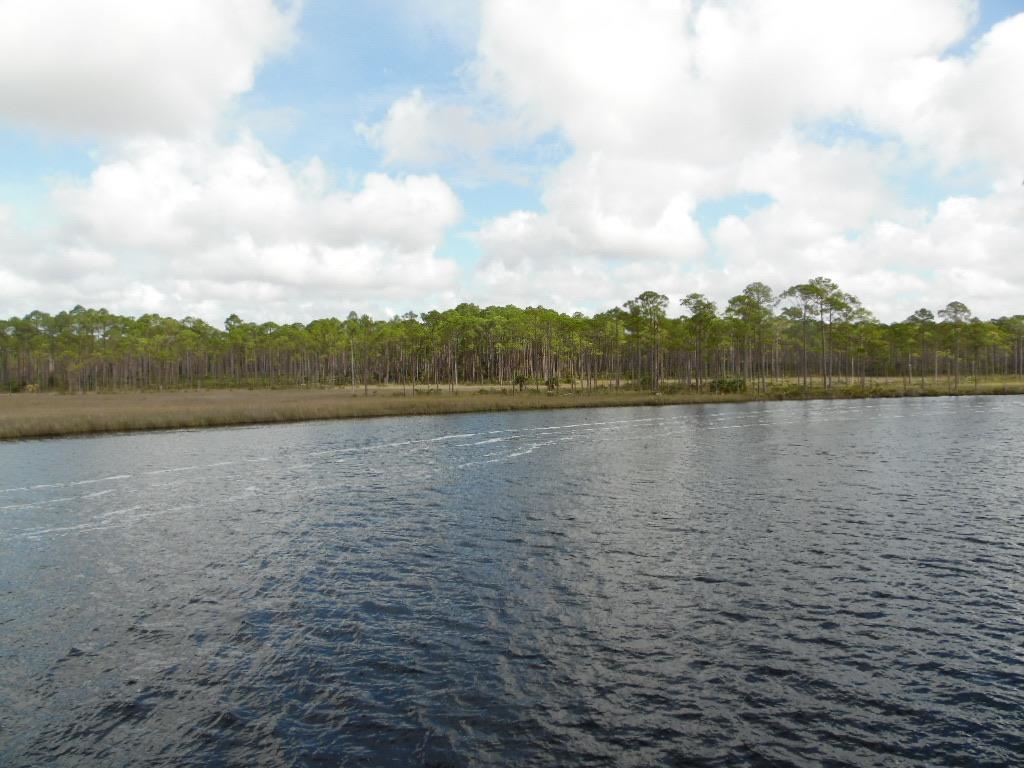 709 Mill Road Carrabelle, FL 32322 - Photo 3 of 33 Gallery Image 3