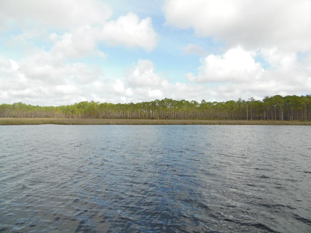 709 Mill Road Carrabelle, FL 32322 - Photo 5 of 33 Gallery Image 5