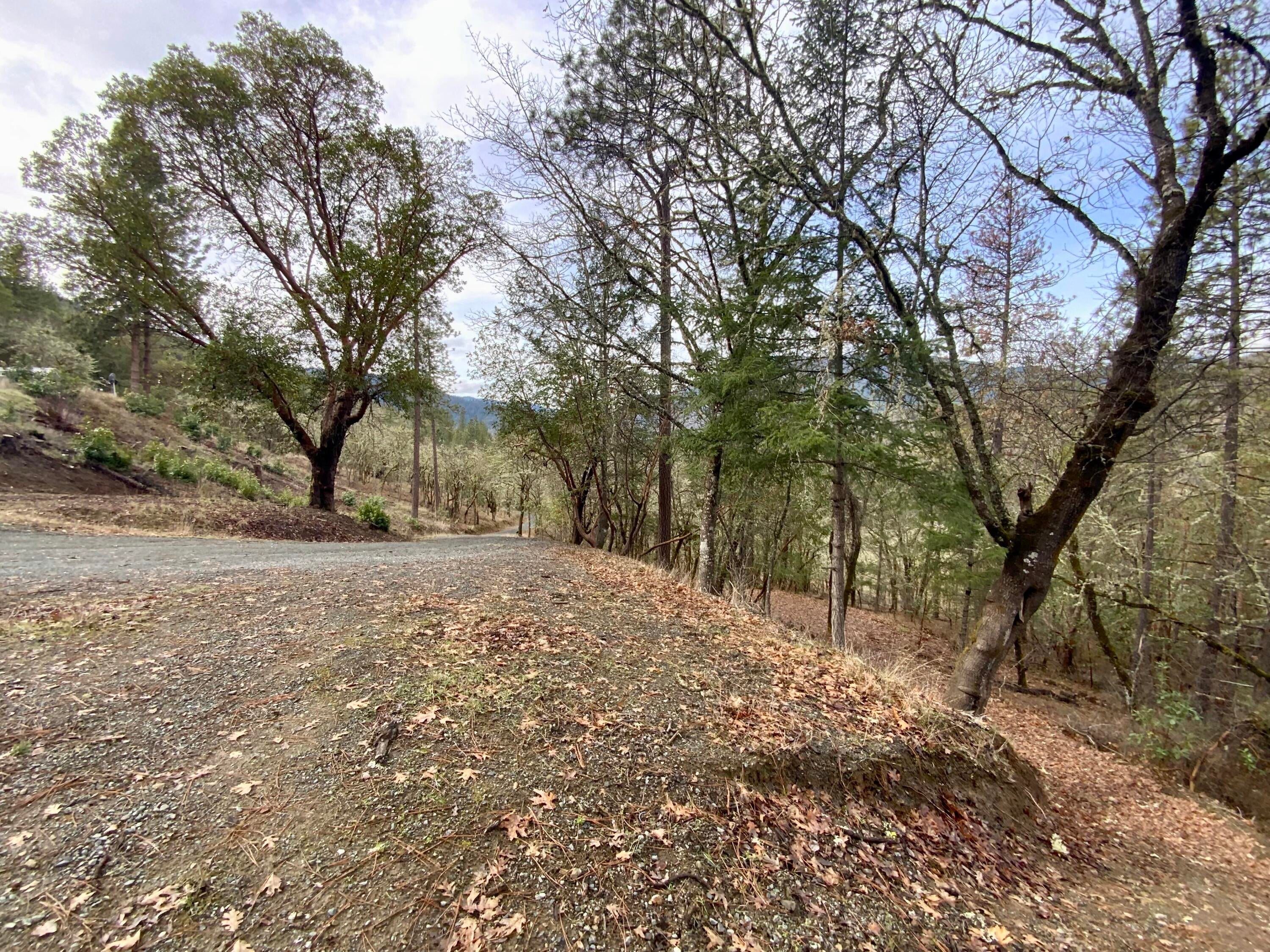 1050 Wards Creek Road, Unit 10700142 Rogue River, OR 97537 - Photo 24 of 26 IMG_2980