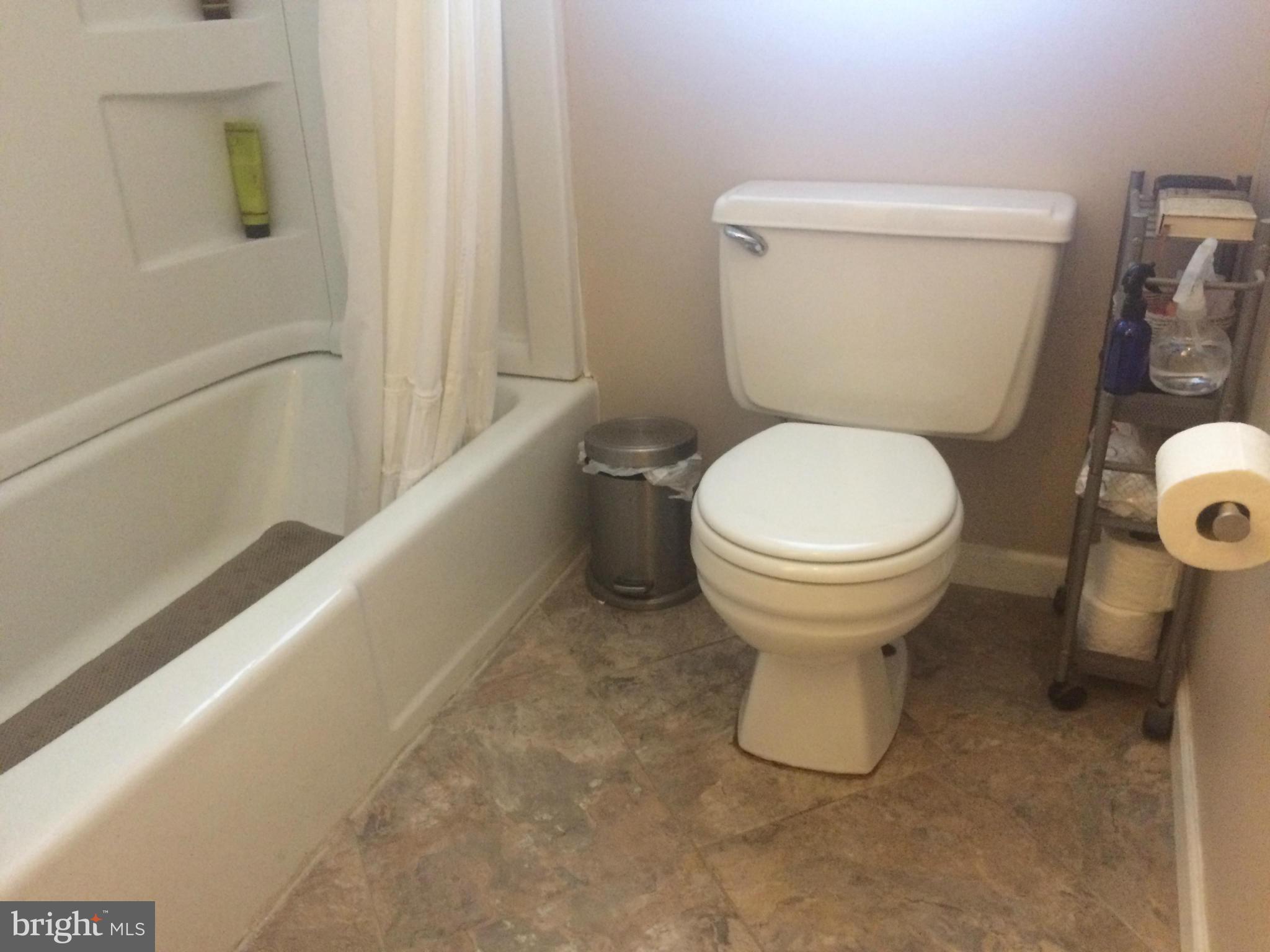 403 Buffalo Road Mount Airy, MD 21771 - Photo 13 of 14 a bathroom with a toilet and a bathtub