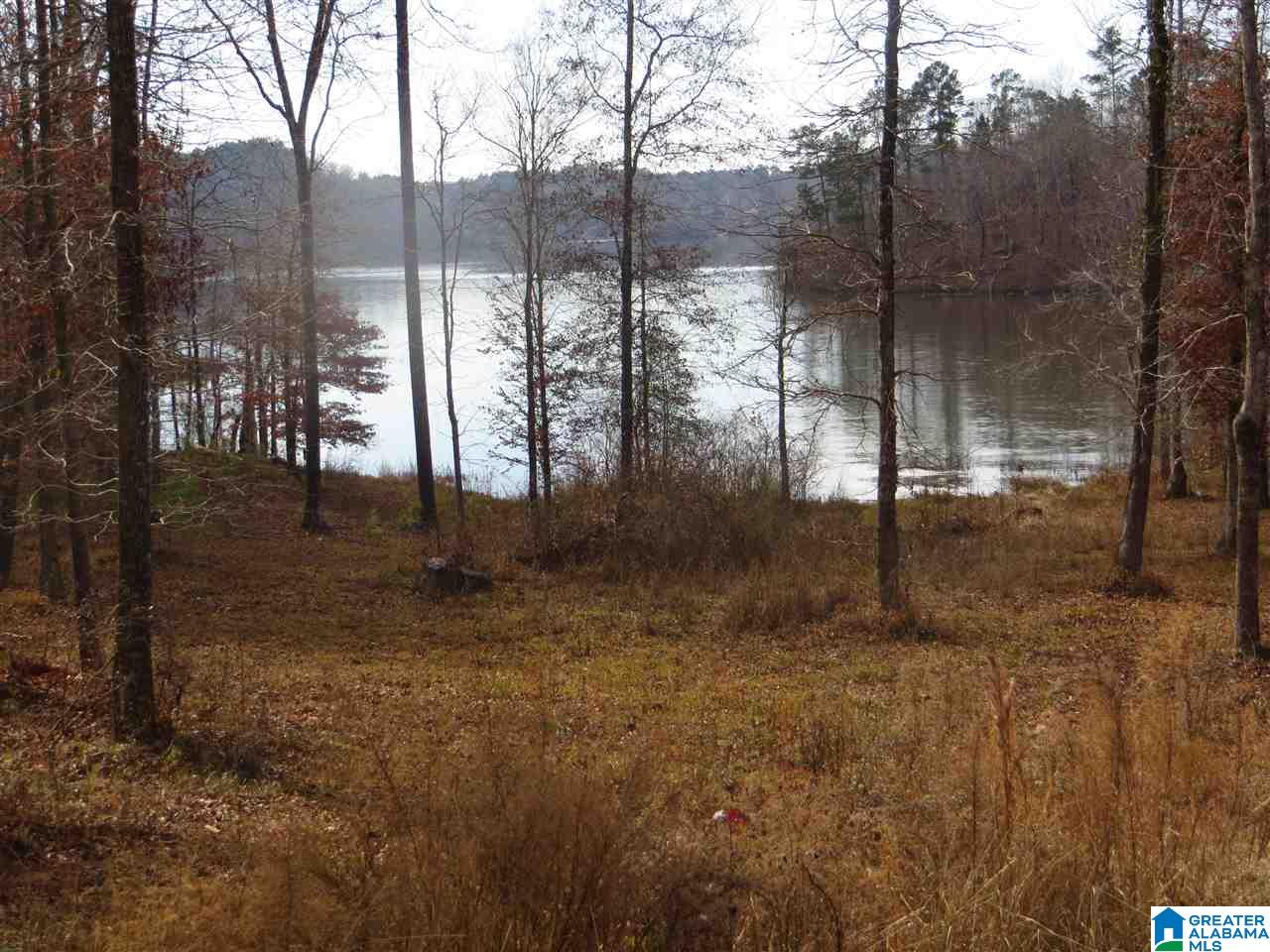 Lot 12 Eagle Mountain Road, Unit 12 Alexander City, AL 35010 - Photo 4 of 7