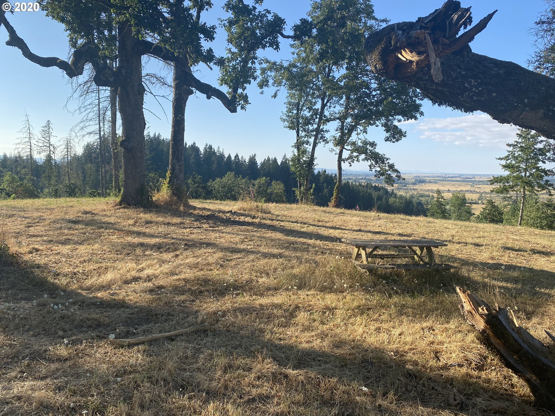 Greenhill Road, Unit 1 Eugene, OR 97402 - Photo 15 of 32 Gallery Image 15