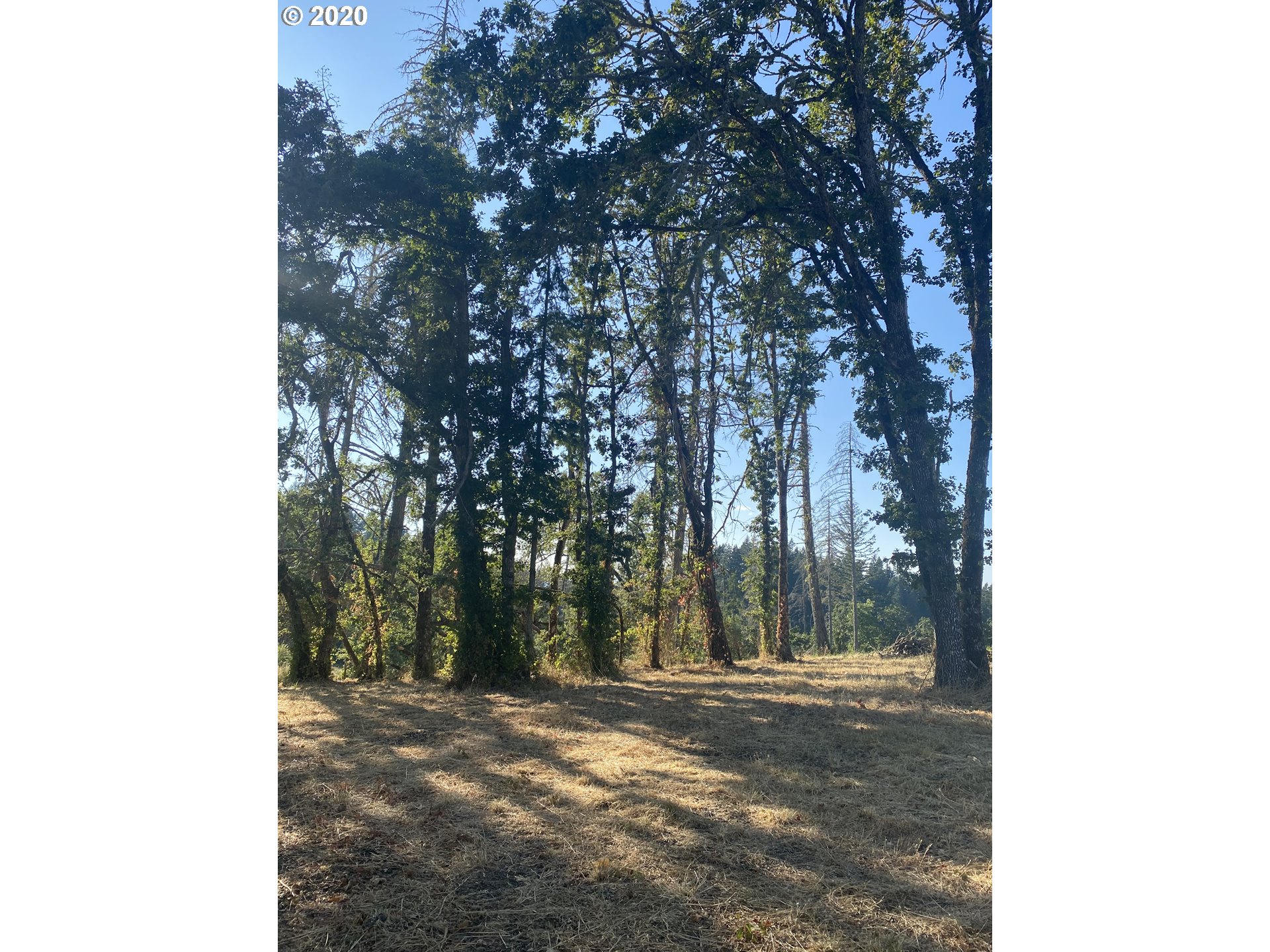 Greenhill Road, Unit 1 Eugene, OR 97402 - Photo 21 of 32 Gallery Image 21