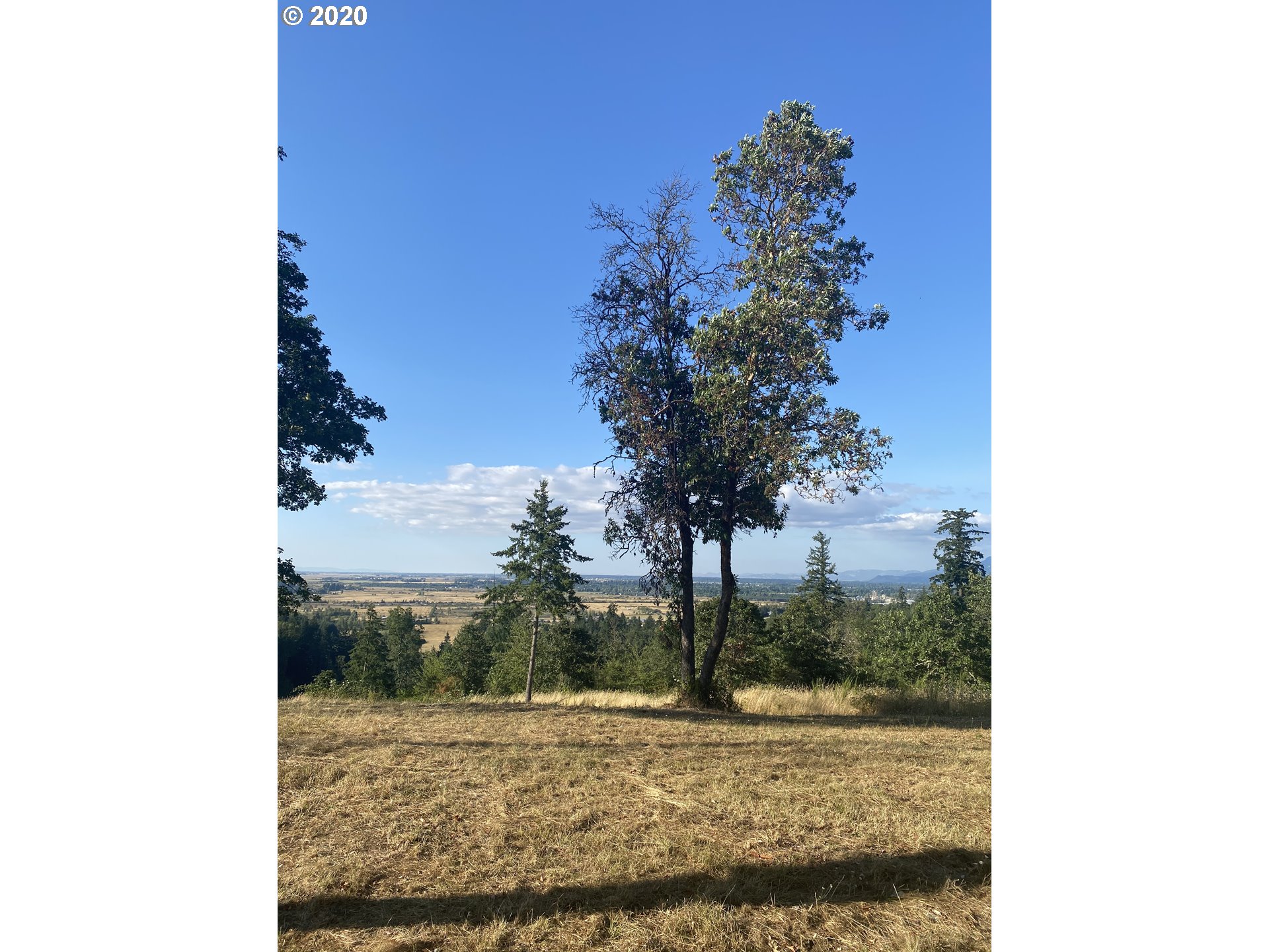 Greenhill Road, Unit 1 Eugene, OR 97402 - Photo 24 of 32 Gallery Image 24