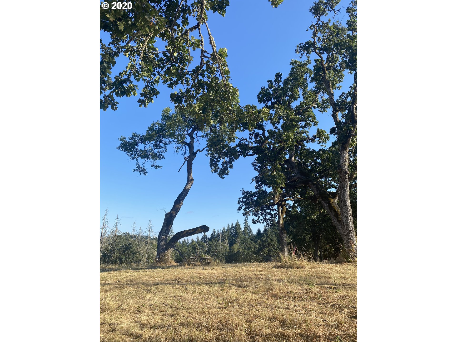 Greenhill Road, Unit 1 Eugene, OR 97402 - Photo 25 of 32 Gallery Image 25