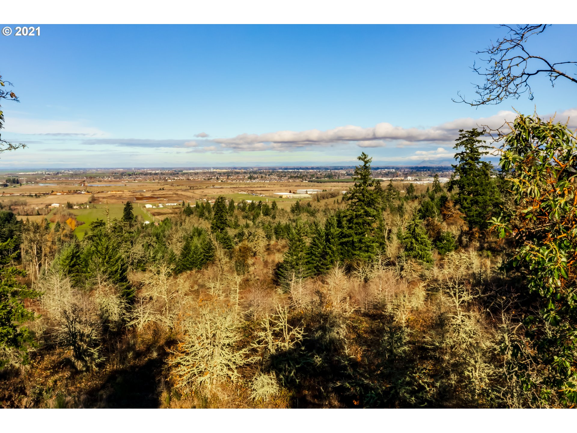 Greenhill Road, Unit 1 Eugene, OR 97402 - Photo 31 of 32 Gallery Image 31