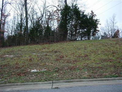 5505 South Ridge Top Avenue Springfield, MO 65804 - Photo 1 of 1 Primary Photo