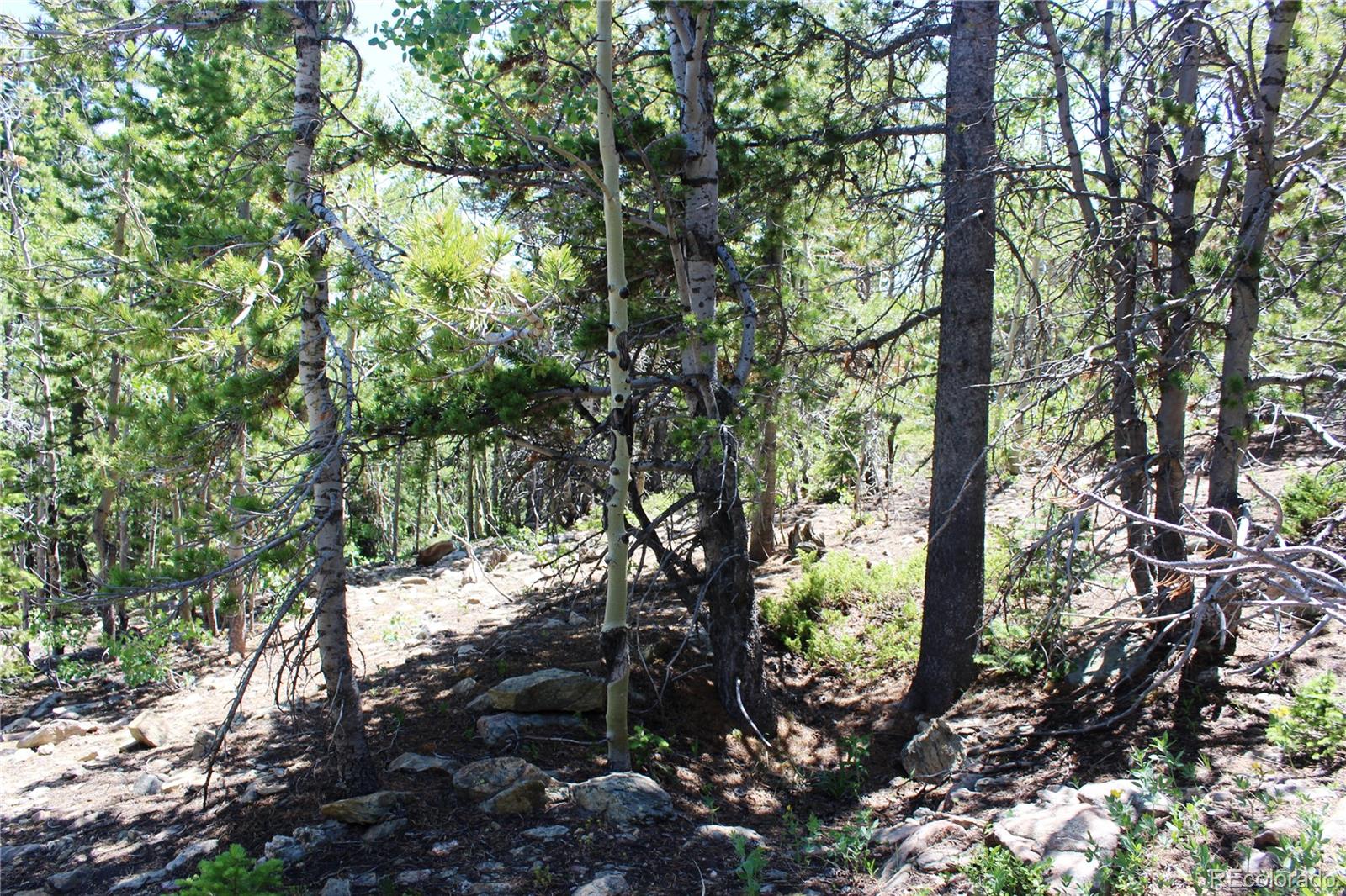 1595 Missouri Gulch Road Black Hawk, CO 80422 - Photo 11 of 49