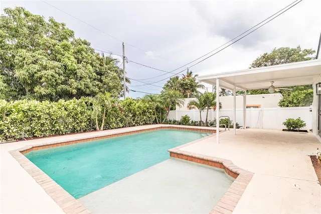 a view of a backyard with plants and a garden