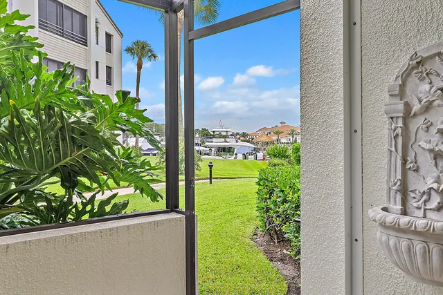 a view of a garden from a windows